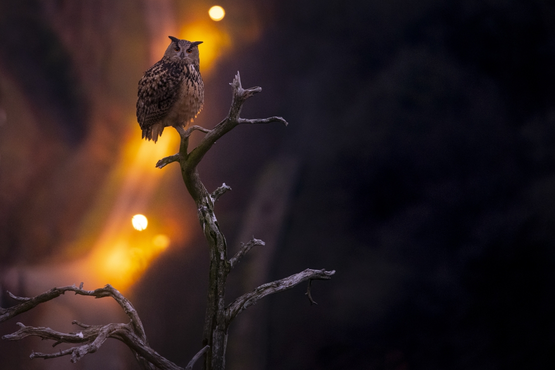 Night watchman