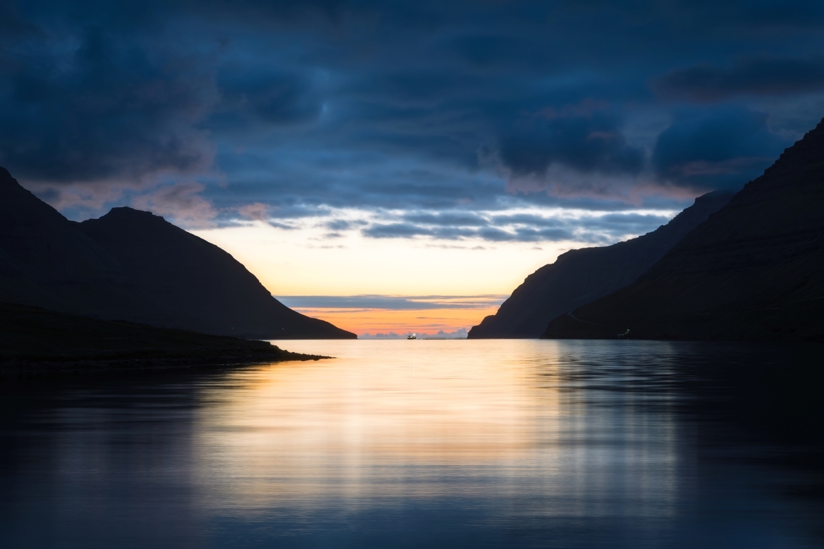 The Nocturnal Odyssey: Unveiling Nature's Hidden Symphony