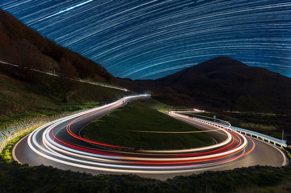 The Nocturnal Odyssey: Unveiling Nature's Hidden Symphony
