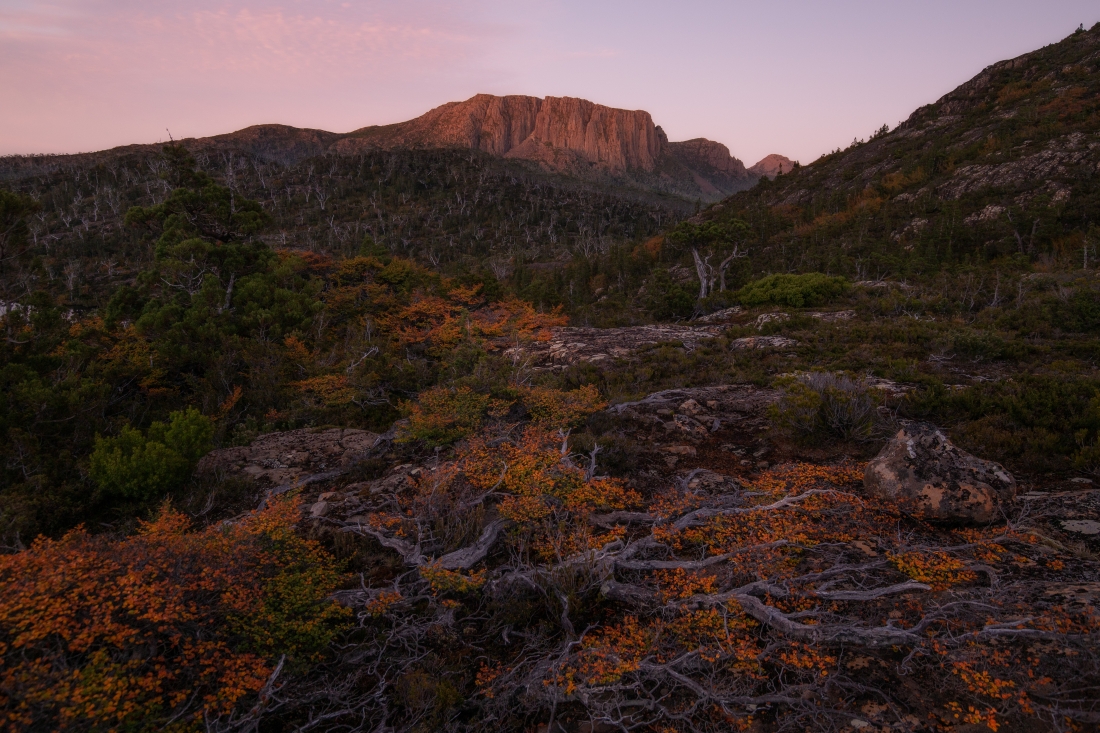 In the depths of Tasmania