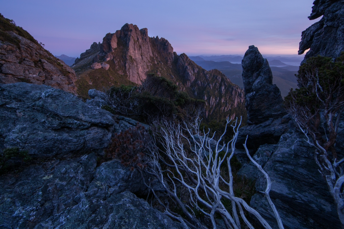 In the depths of Tasmania