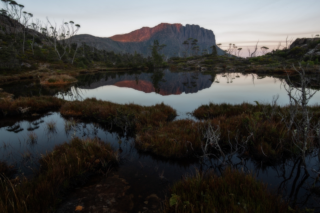 In the depths of Tasmania