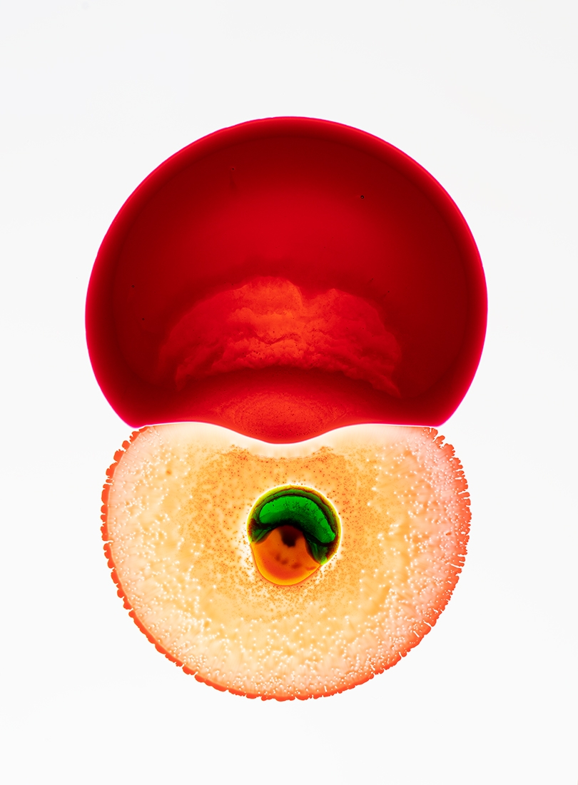 Cells