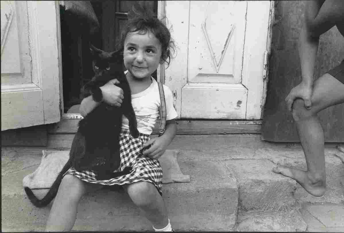 The delightful journey of childhood