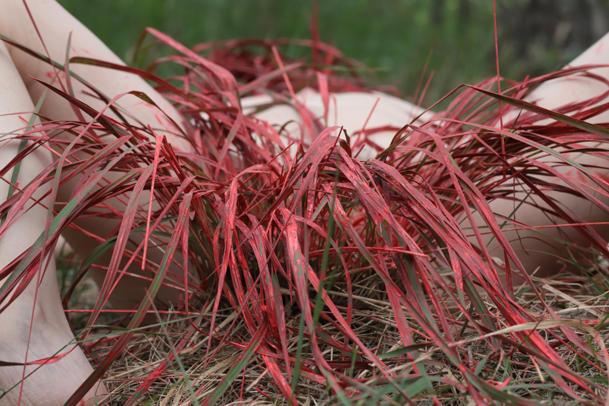 Menstruation