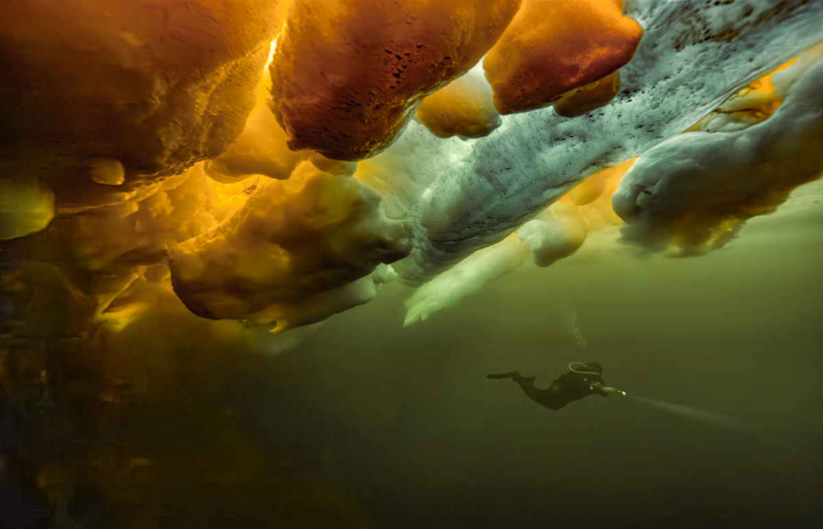 Under sea ice