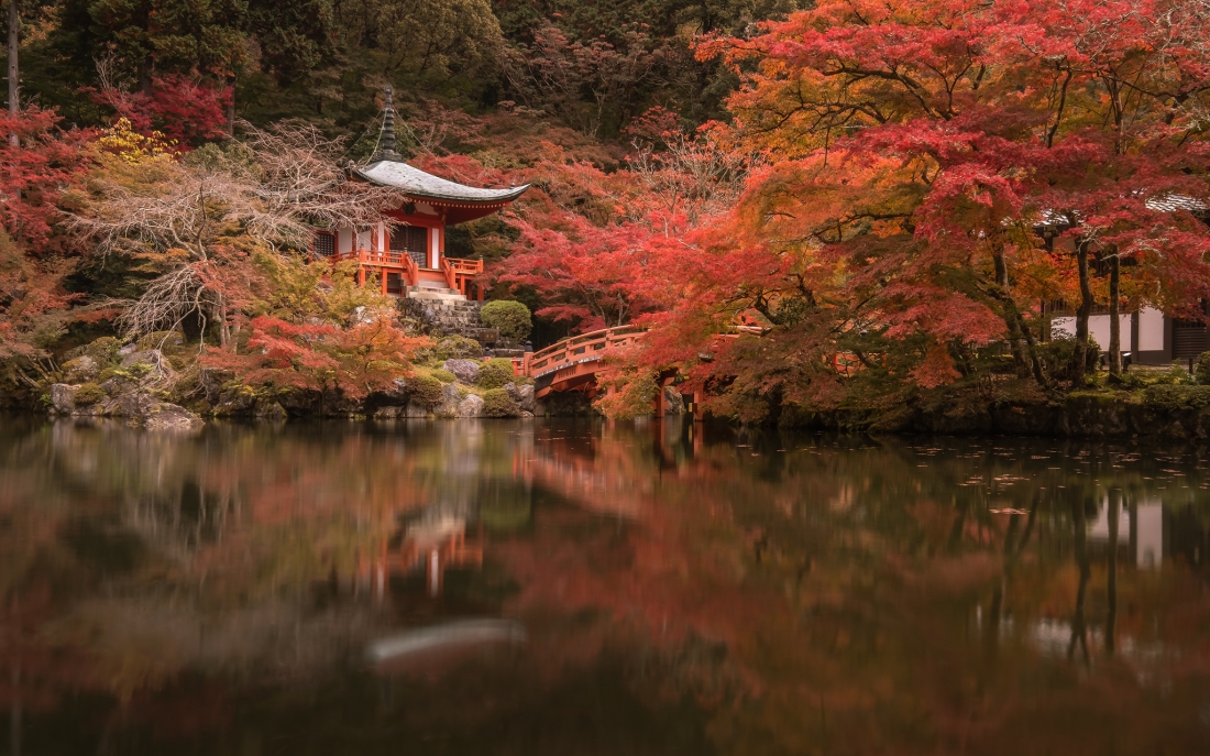 Silence of Tokyo