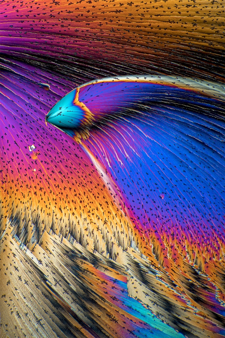 Microcrystals in polarised light.