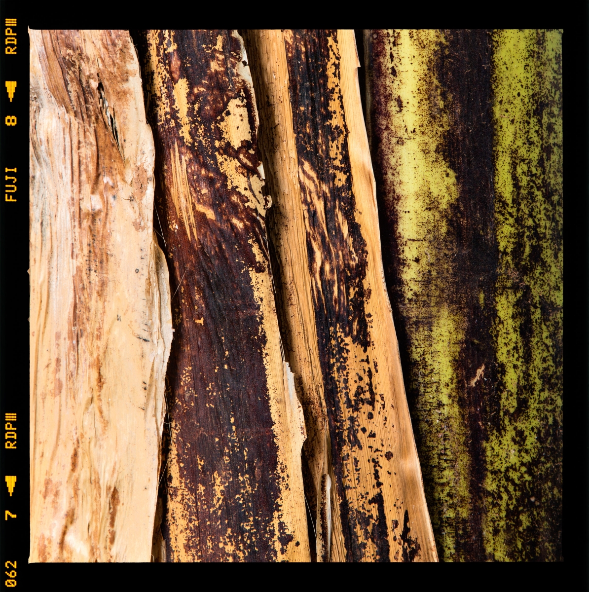 Tree maps (2015 - 2024)