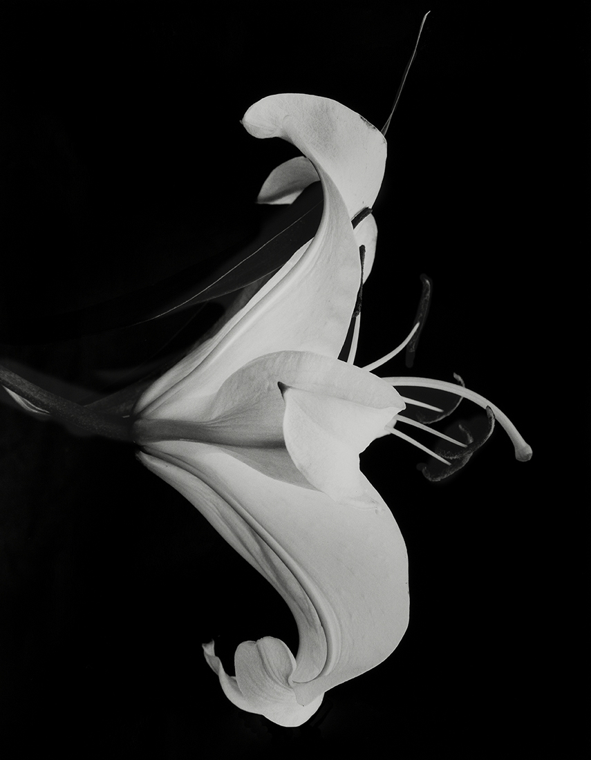 Flower Symbolization