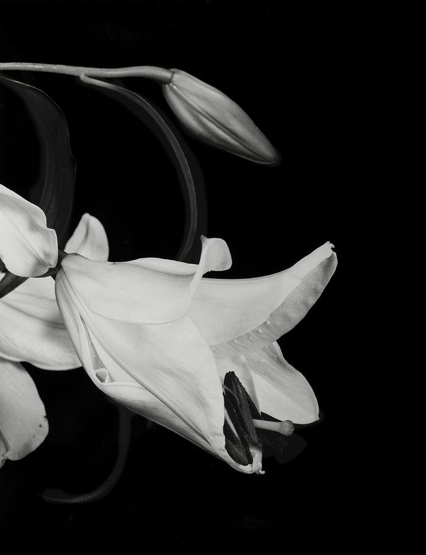 Flower Symbolization