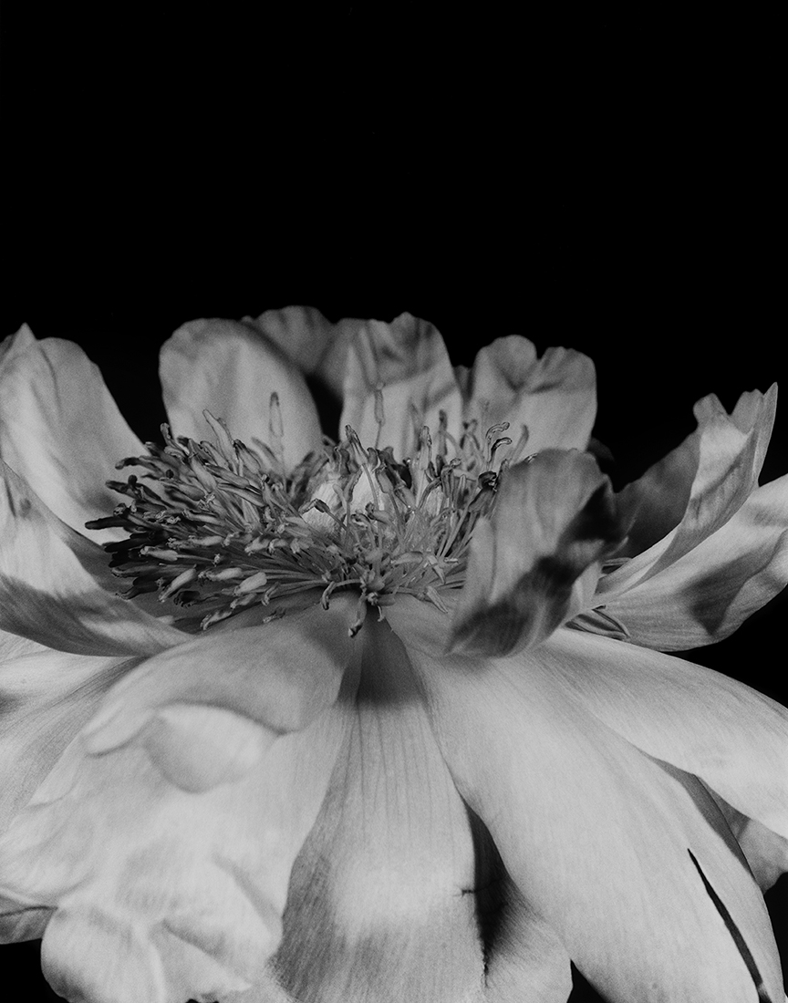 Flower Symbolization