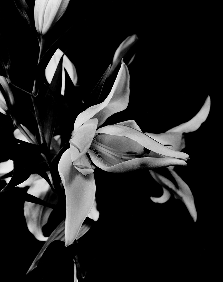 Flower Symbolization
