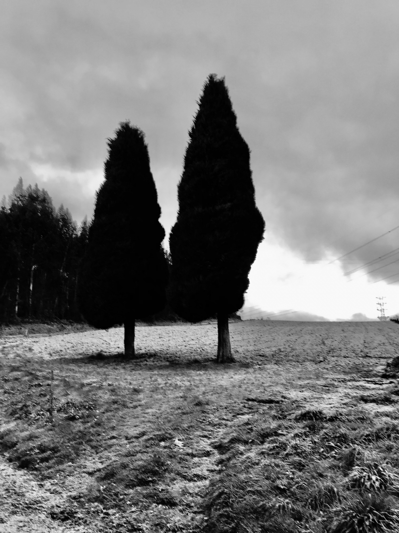 Natures Centurions 