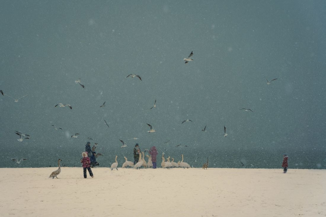 Winter day