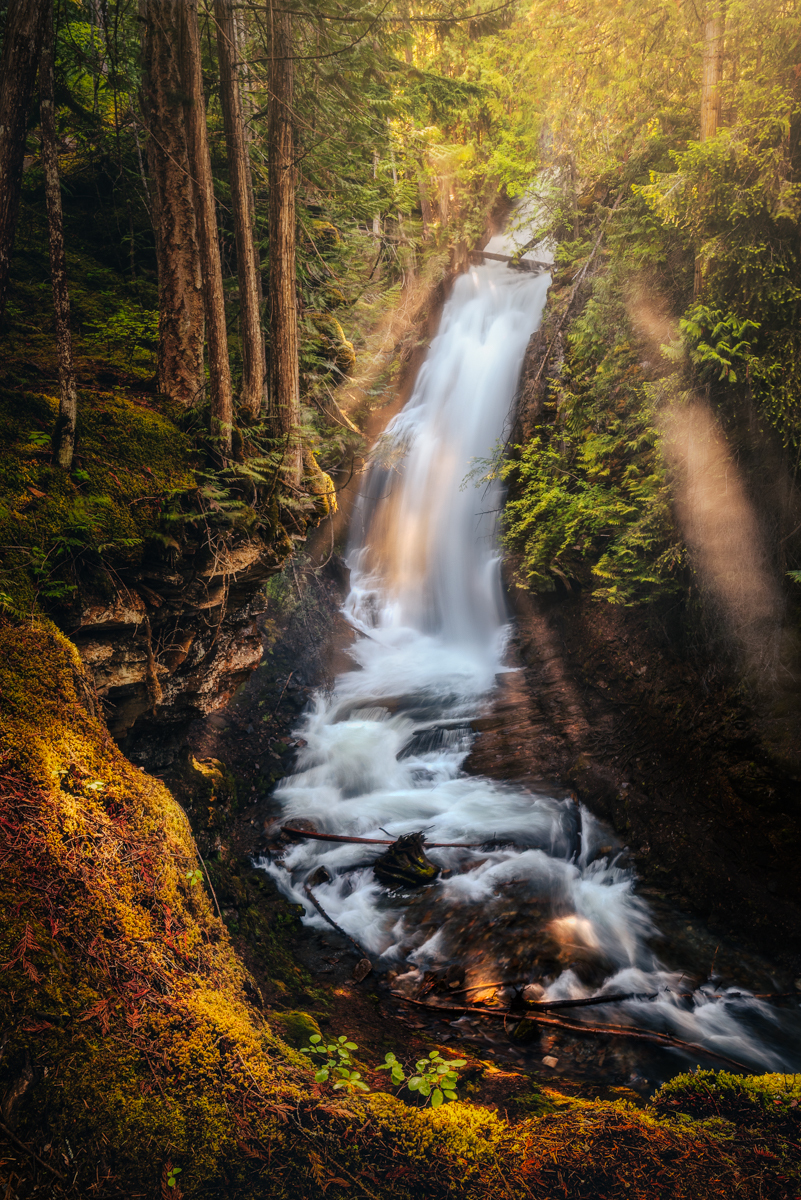 Dreamscapes 