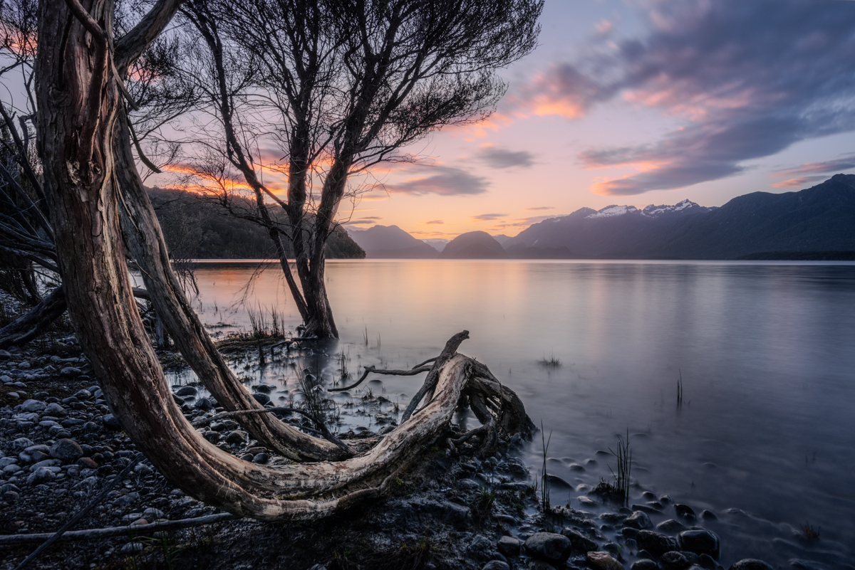 Dreamscapes 