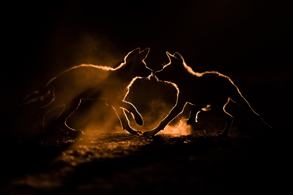 Light and Shades