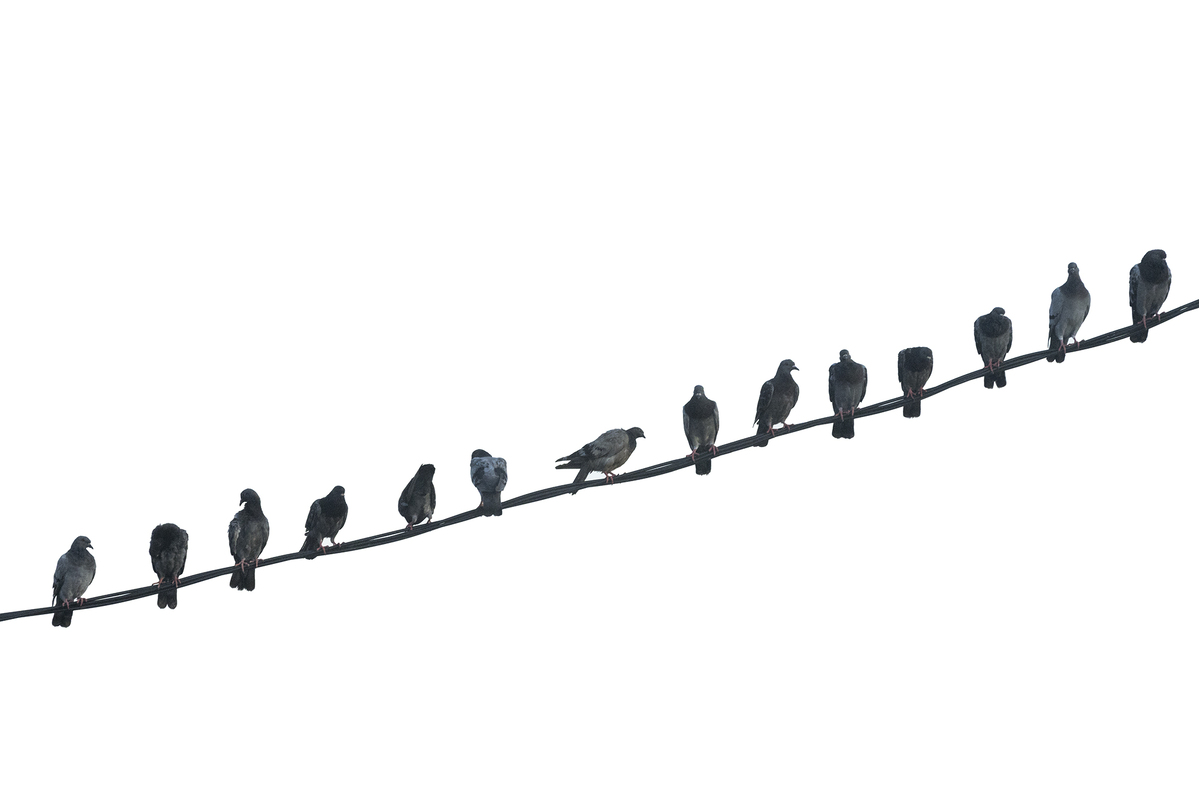 Social Distancing