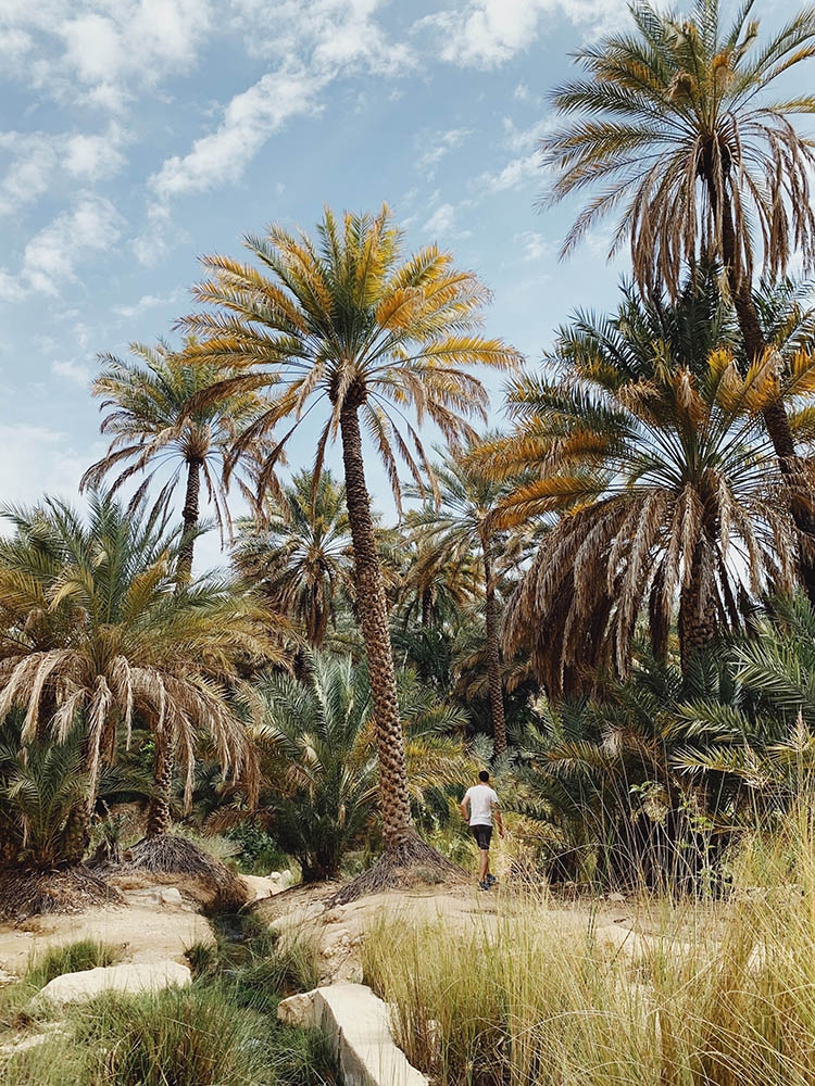 Fighting prejudice - a photographic documentation about the unique landscape of the Sultanate of Oman