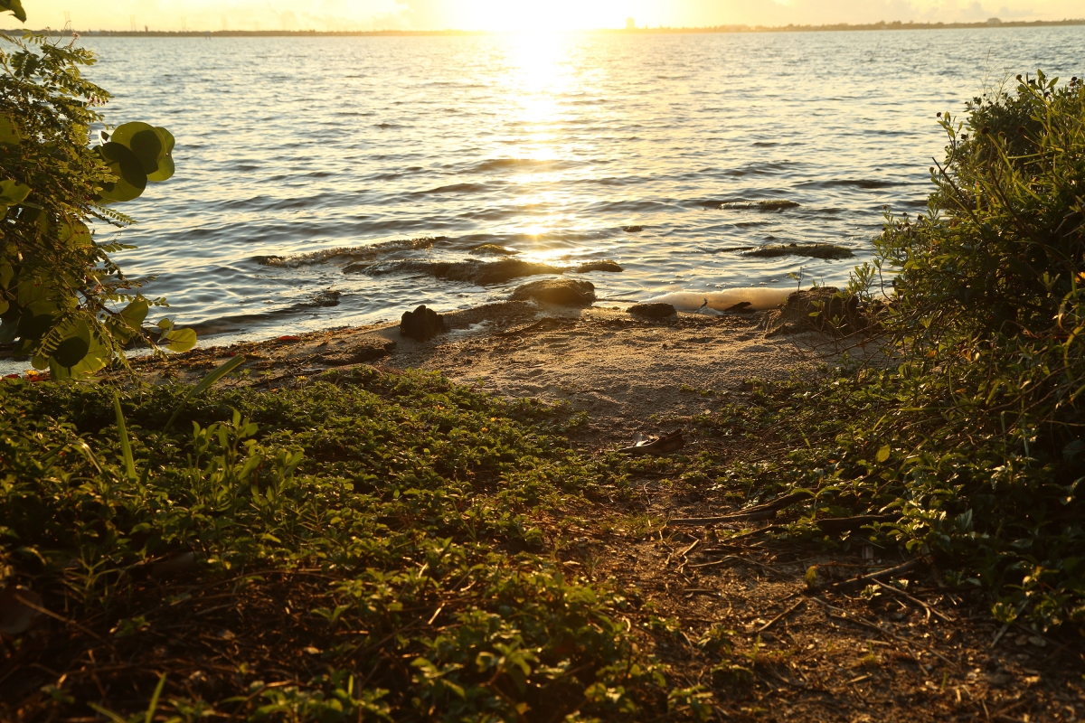 Indian River Lagoon Connected