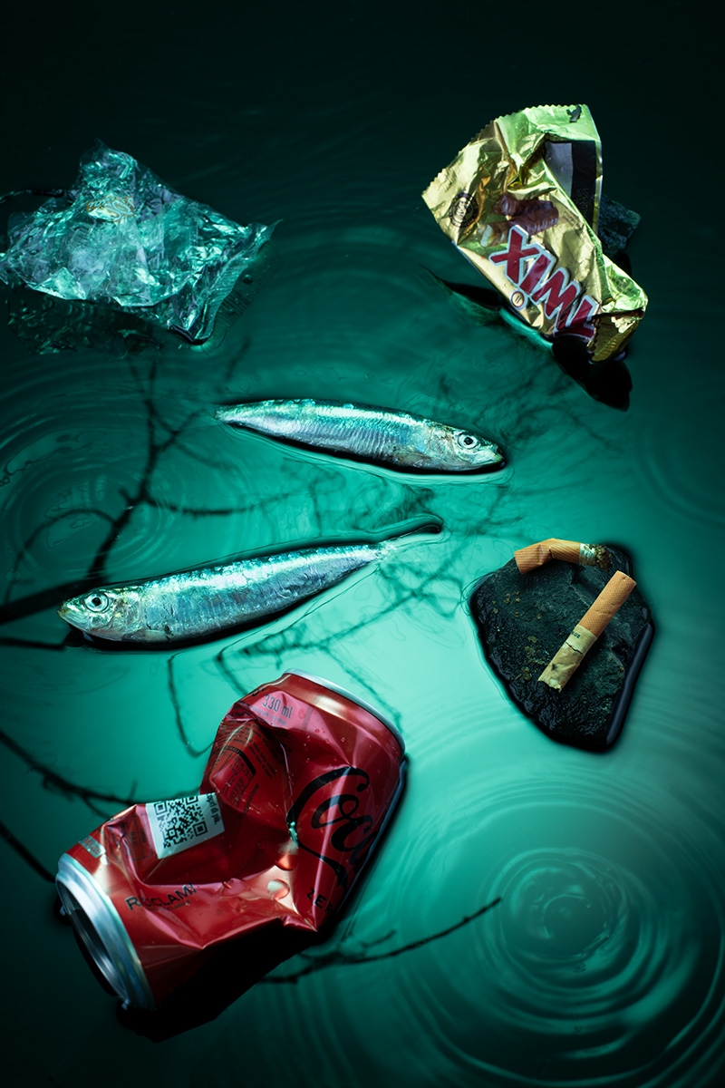 The pond (still) life
