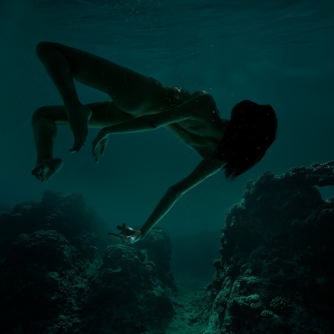 Where Fishes Go