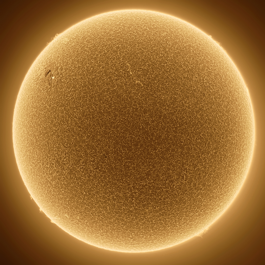 Our magnificent Sun: source of Earth's life