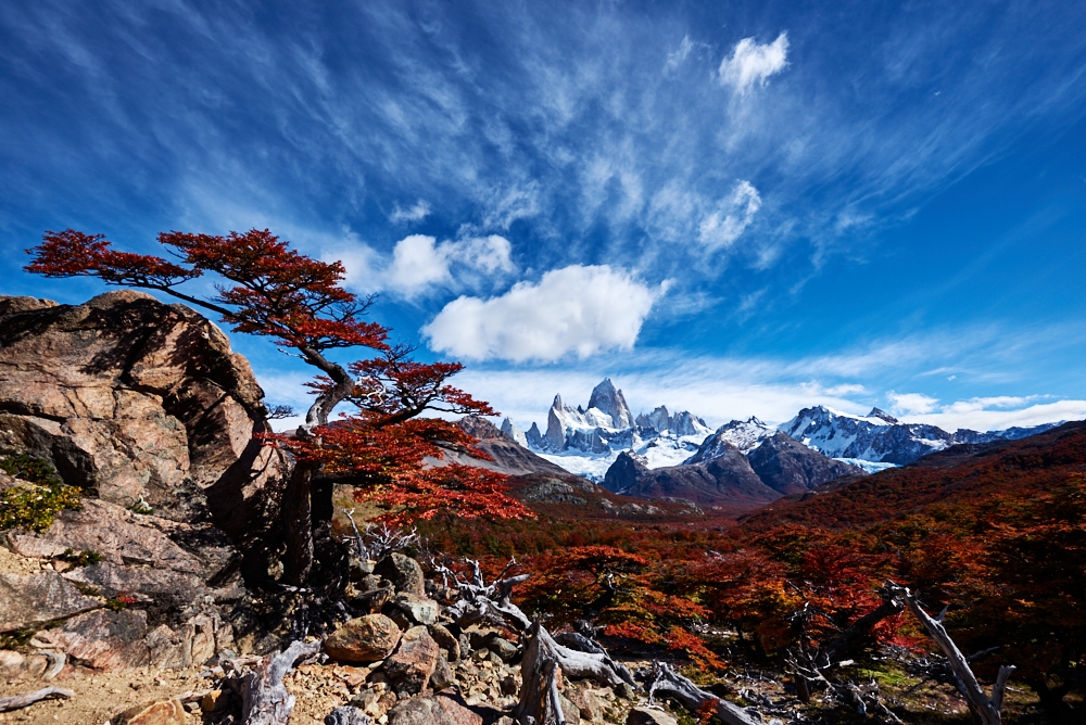 Autumn colours of the rough wilderness