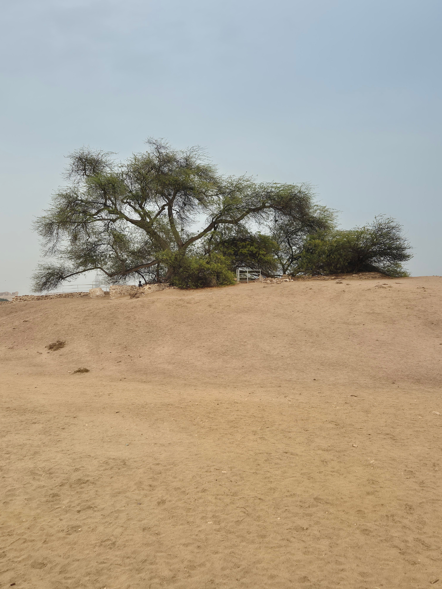 Tree of Life