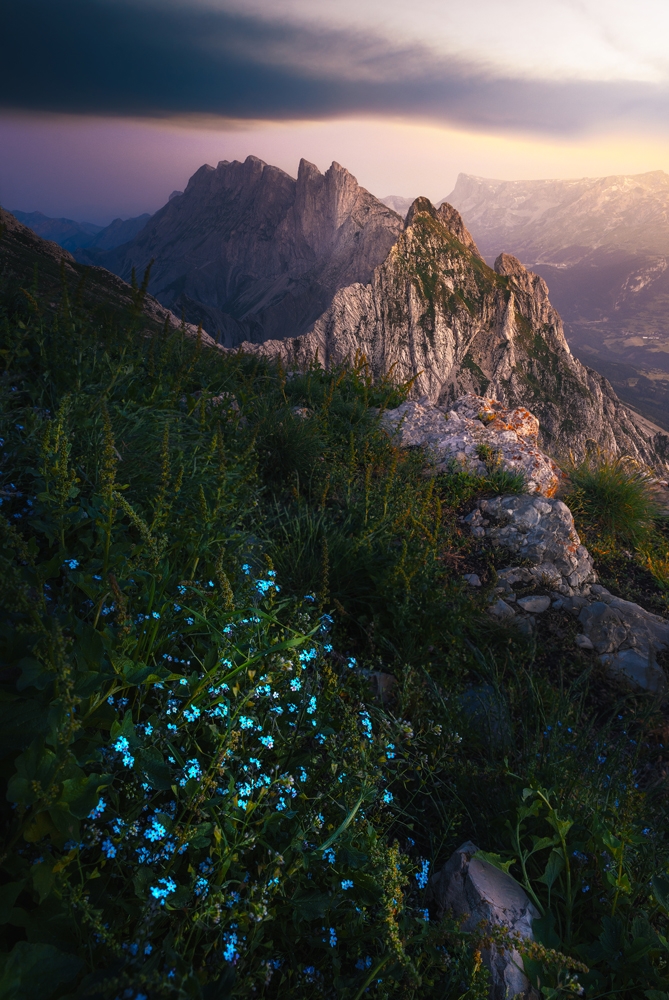 Yonder