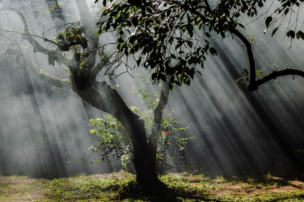 Light and Shadow