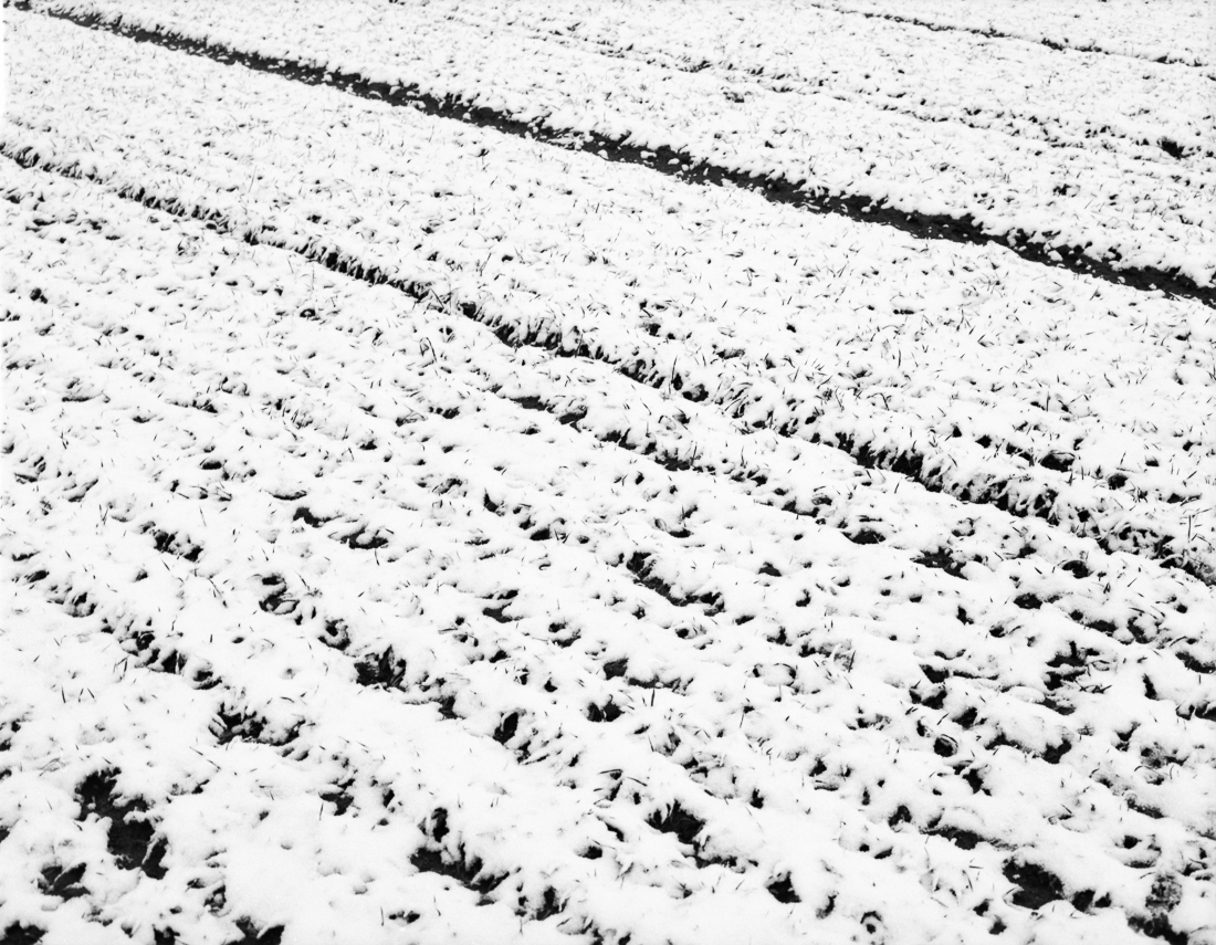 a winter journey