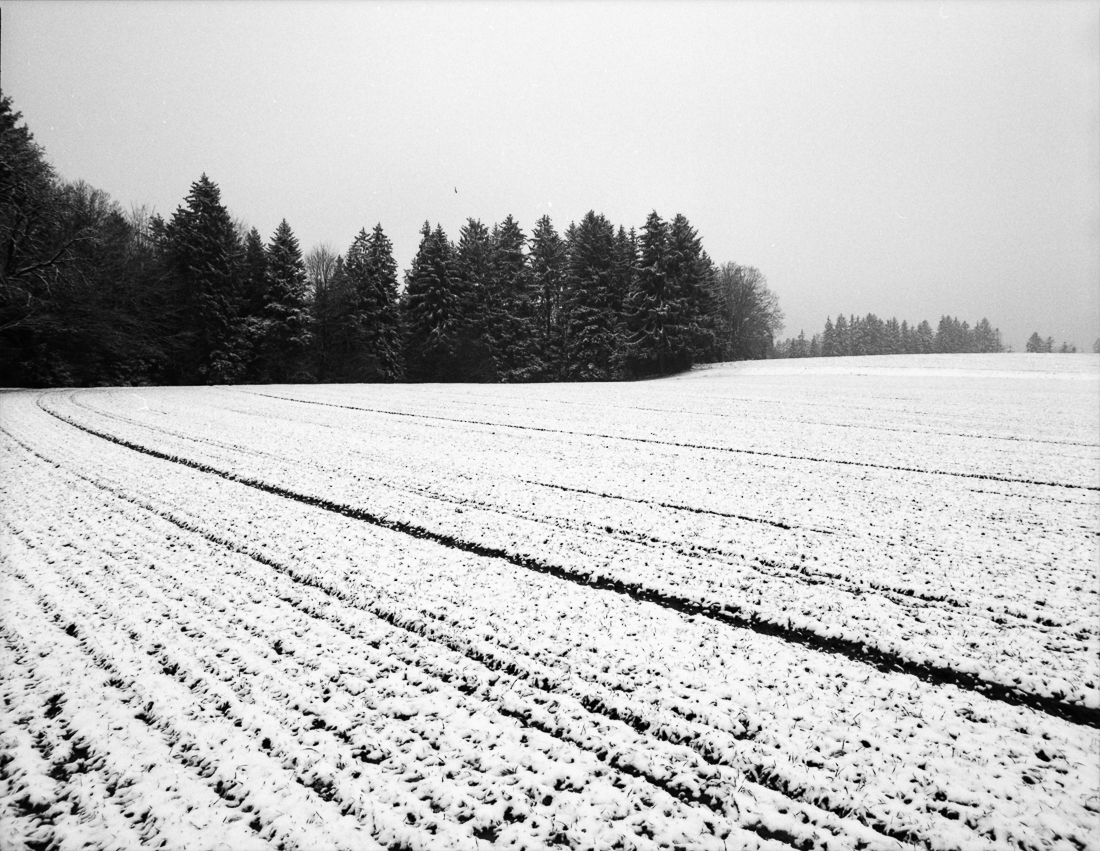 a winter journey