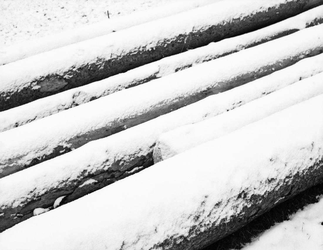 a winter journey