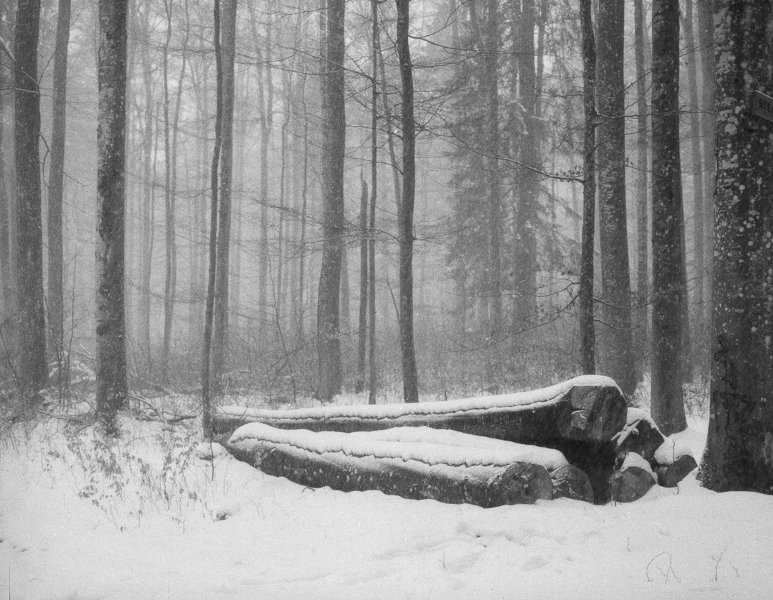 a winter journey