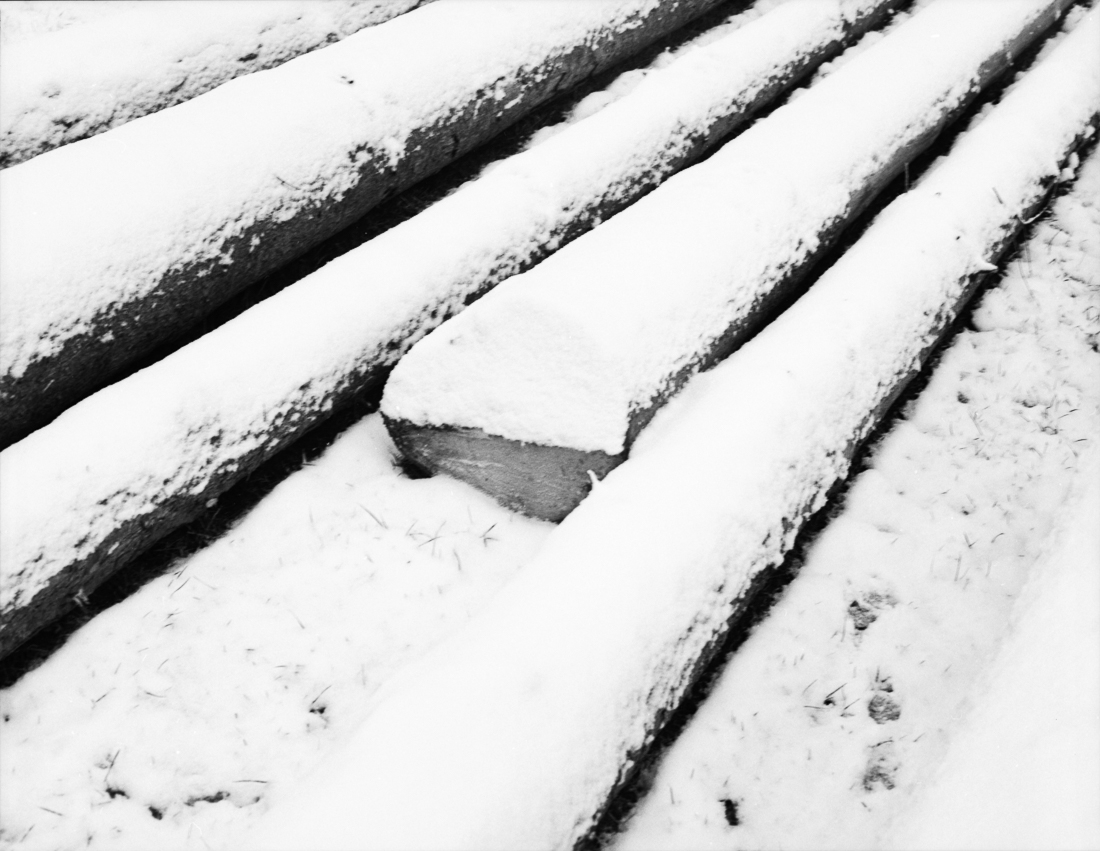 a winter journey