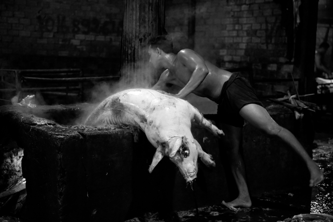 MEAT