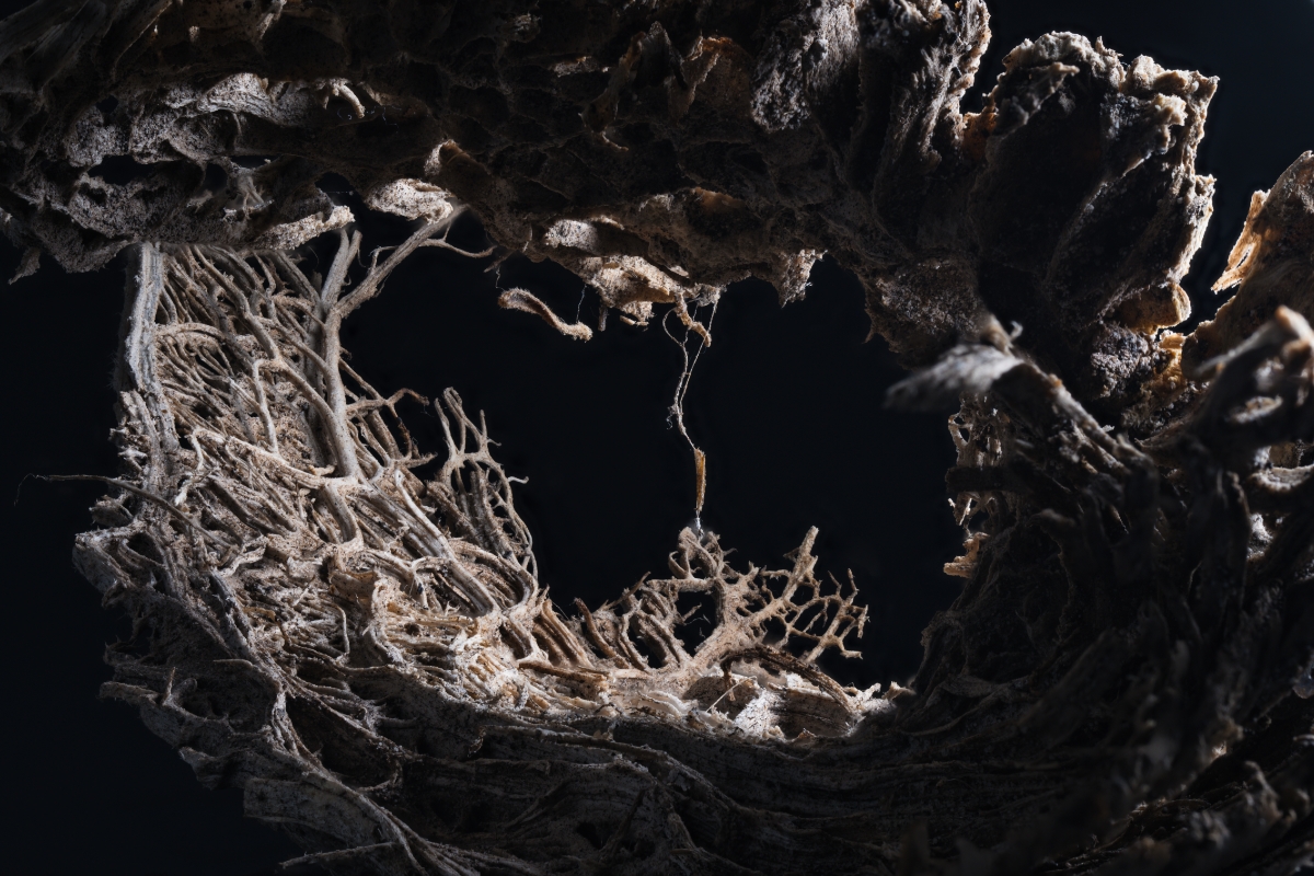 Inner Mirrors: The Microcosm Reveals the Spiritual Crisis