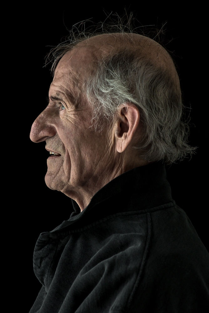Still Lives: Stories in Profile