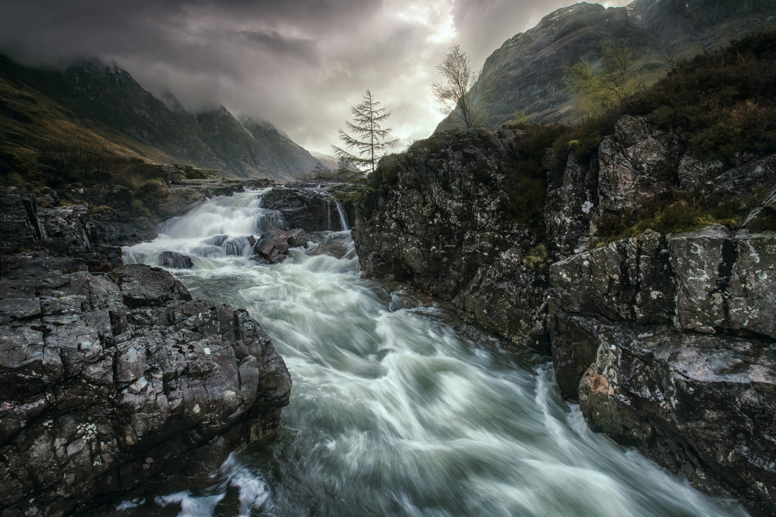 raw nature