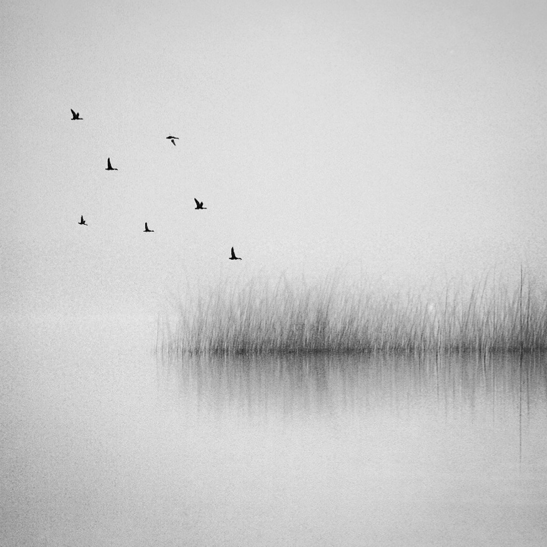 silence