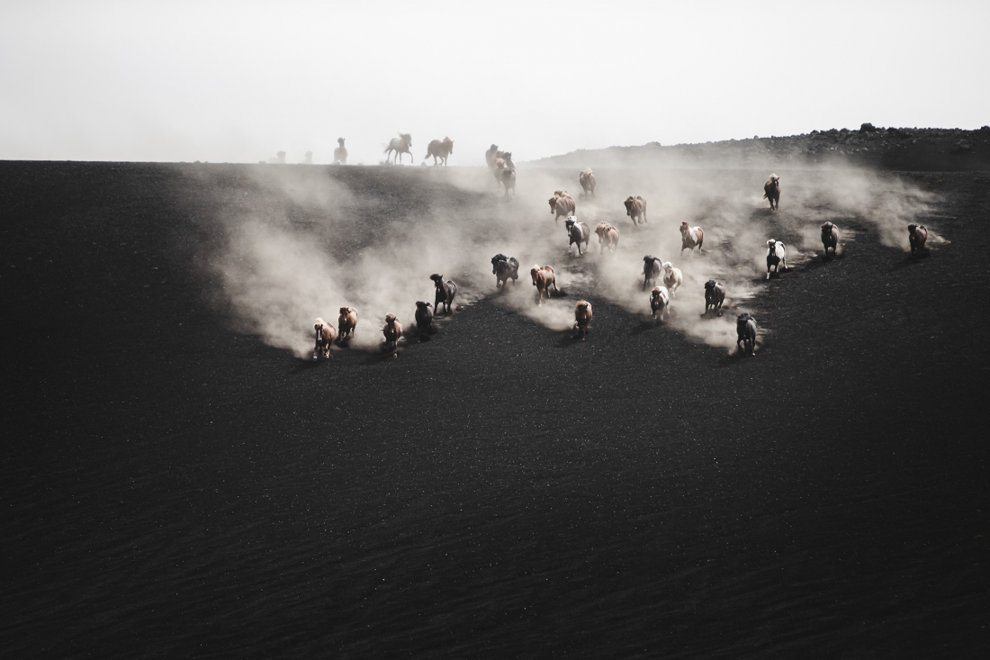 Black desert