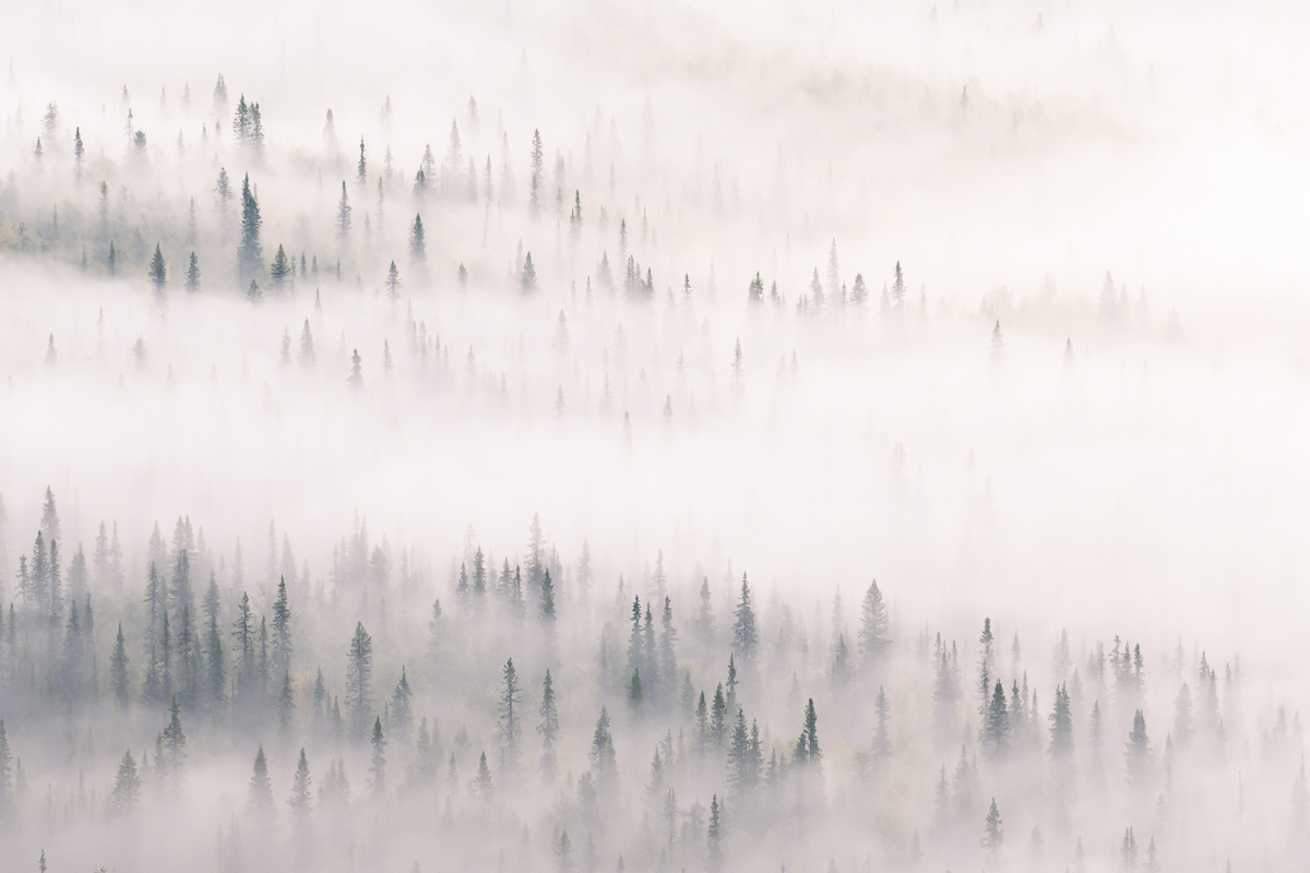 Silence & solitude