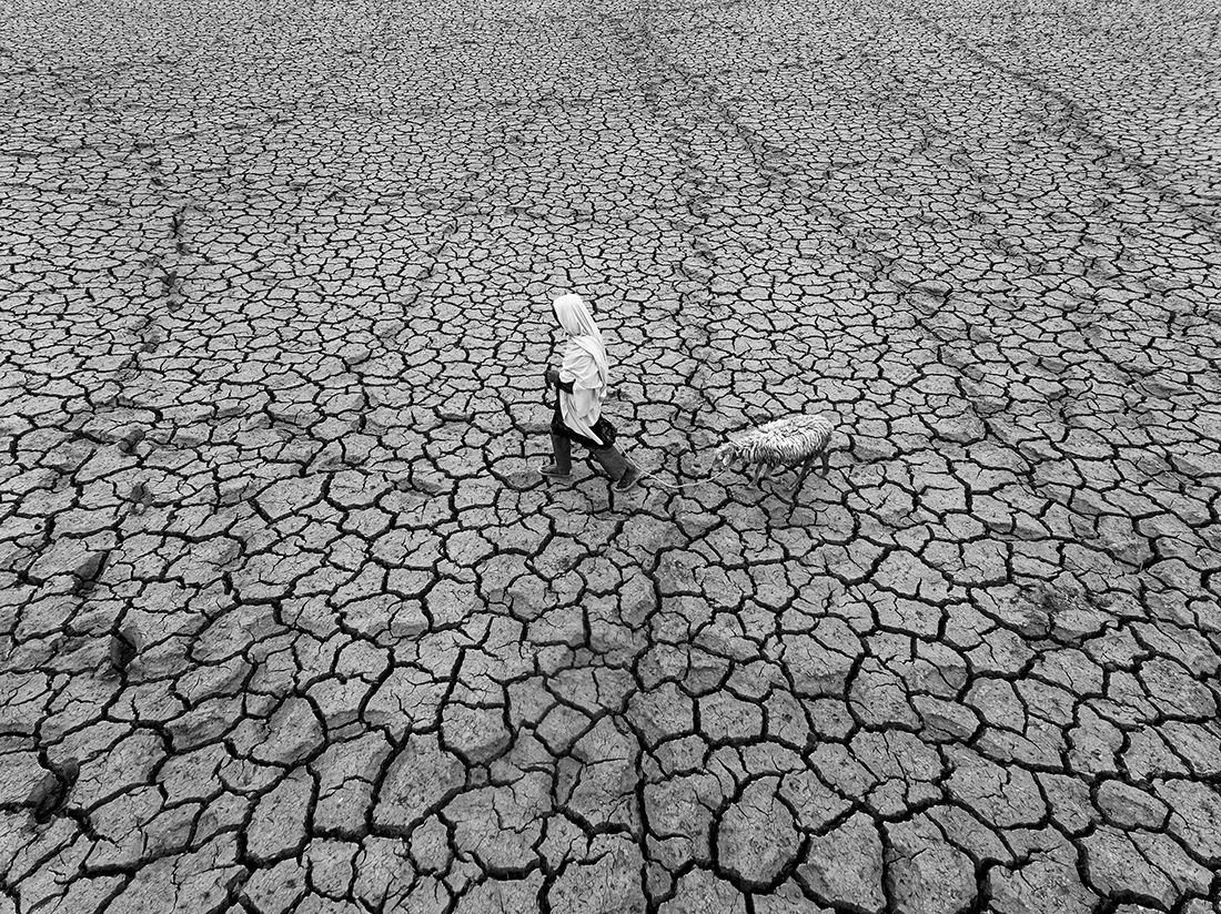 Tears of Drought