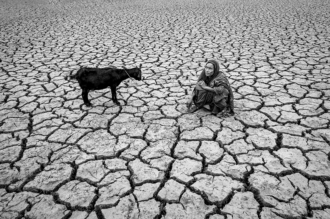 Tears of Drought