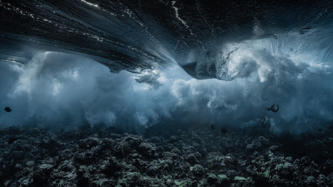 Inside the Wave