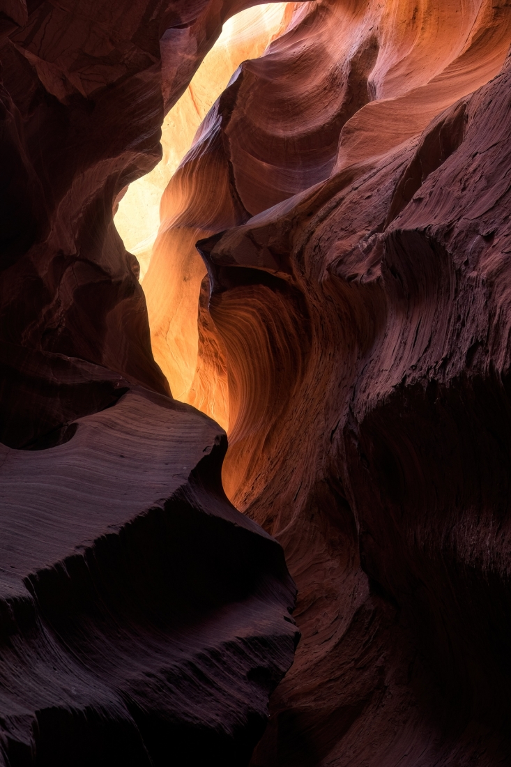 Treasures of the Antelope