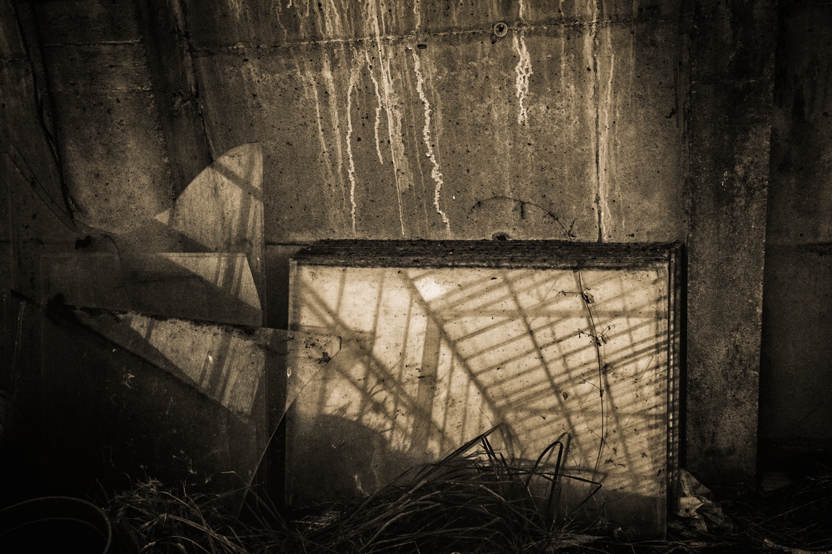 A greenhouse mystery