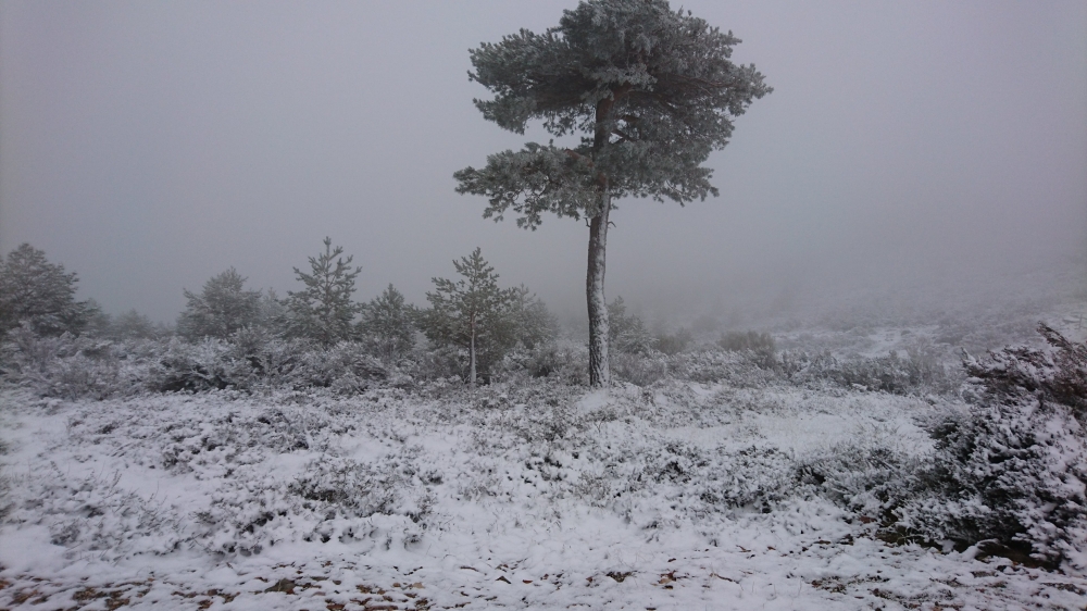 Landscape in the Sierra de Francia. Salamanca